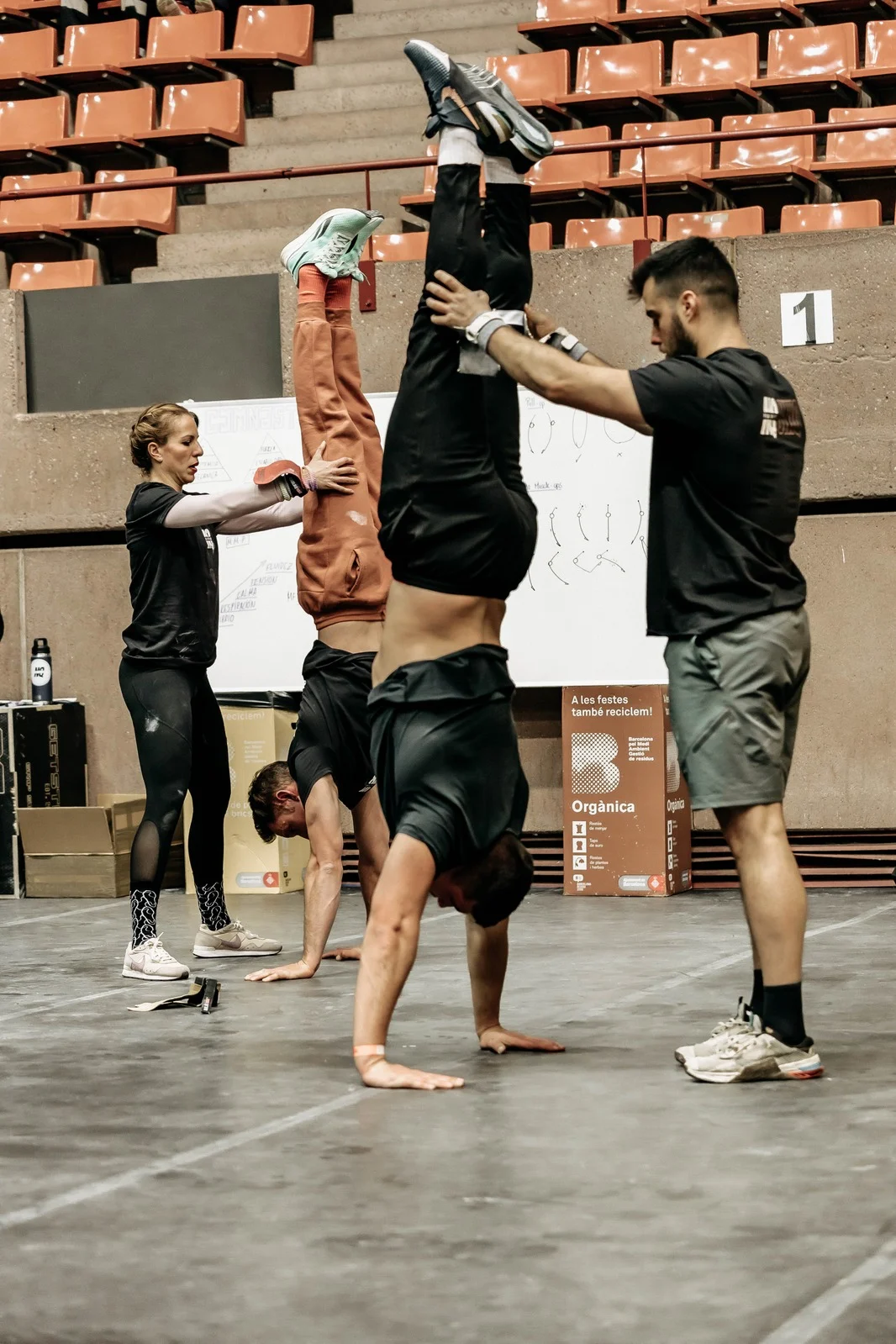 Training